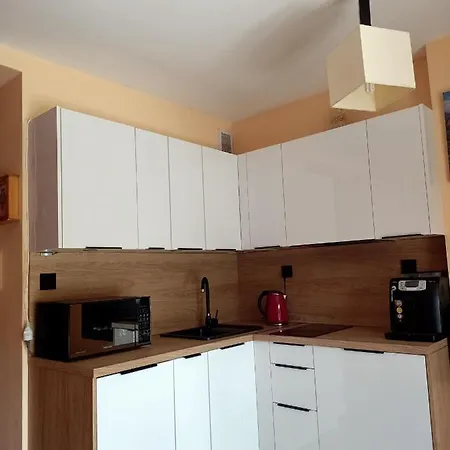 诺斯特吉克尼考斯赛力克公寓＆spa 公寓